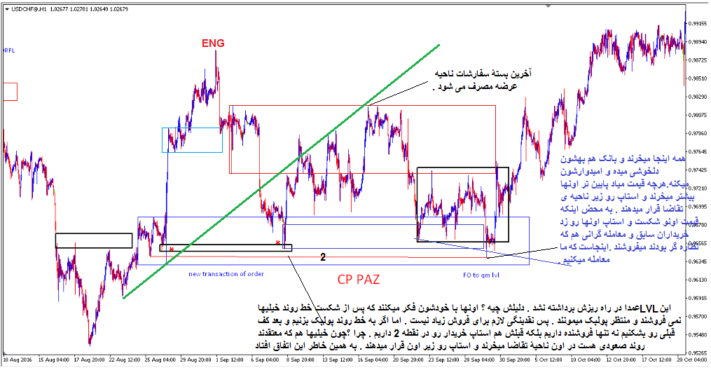 فلگ لیمیت